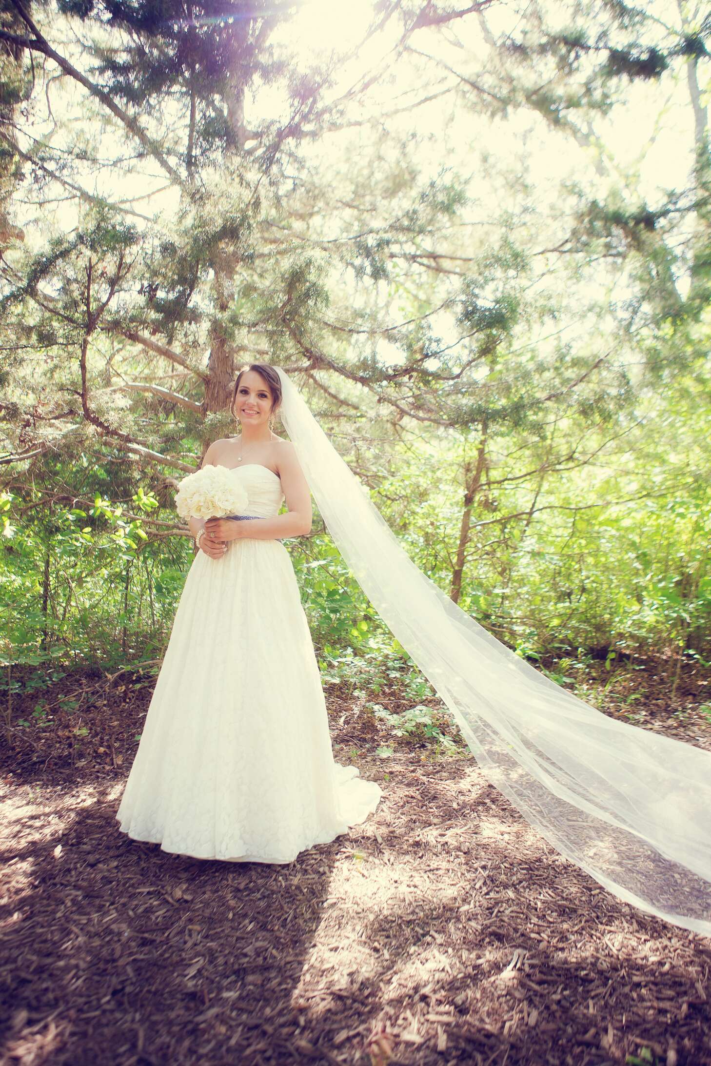 A-Line Textured Ivory Wedding Dress with Cathedral Veil in Celina, Texas