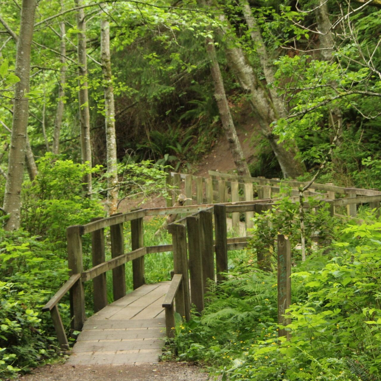 Picture of Burfoot Park
