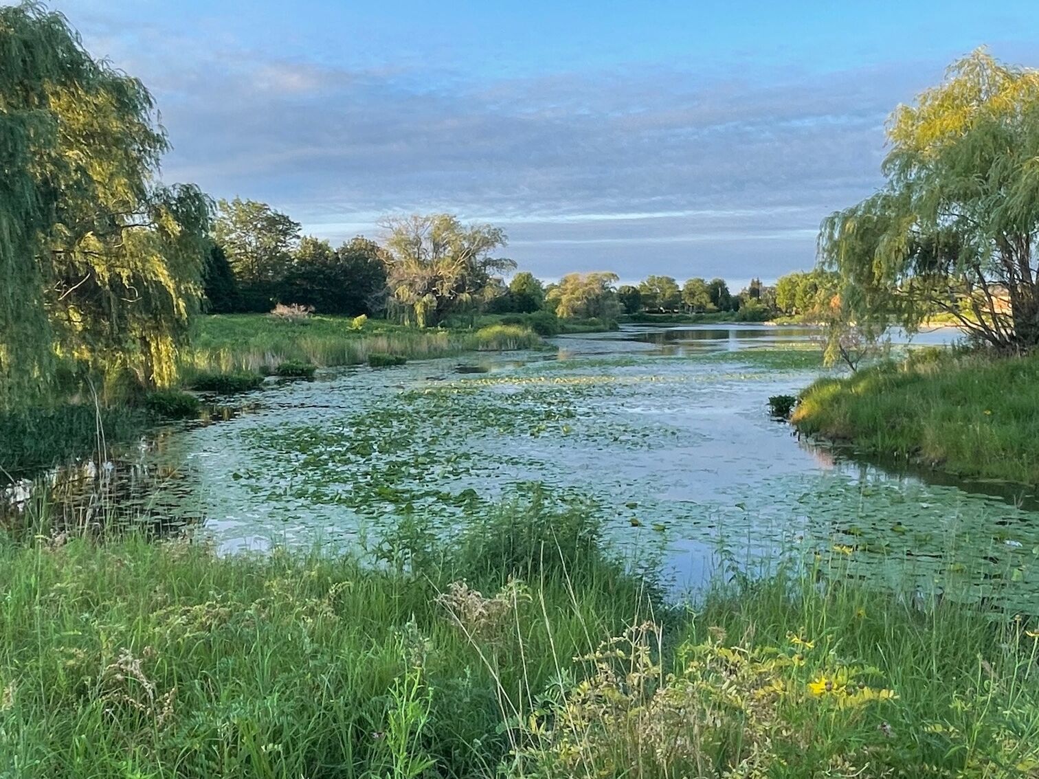 Picture of Gallery Park