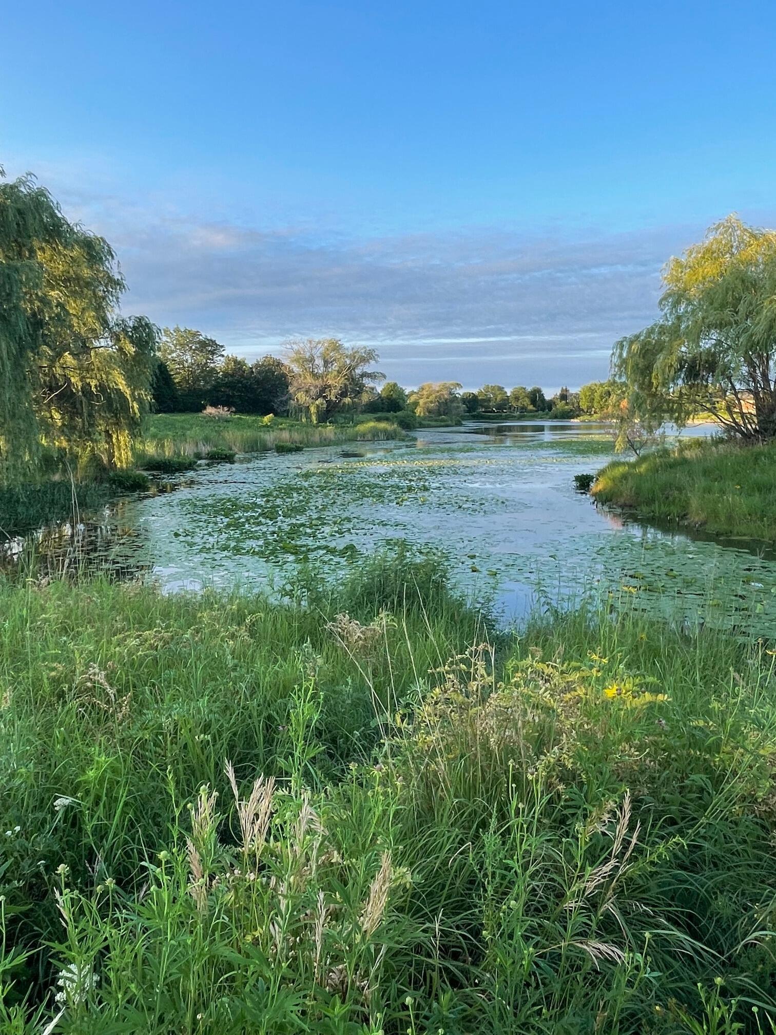 Picture of Gallery Park