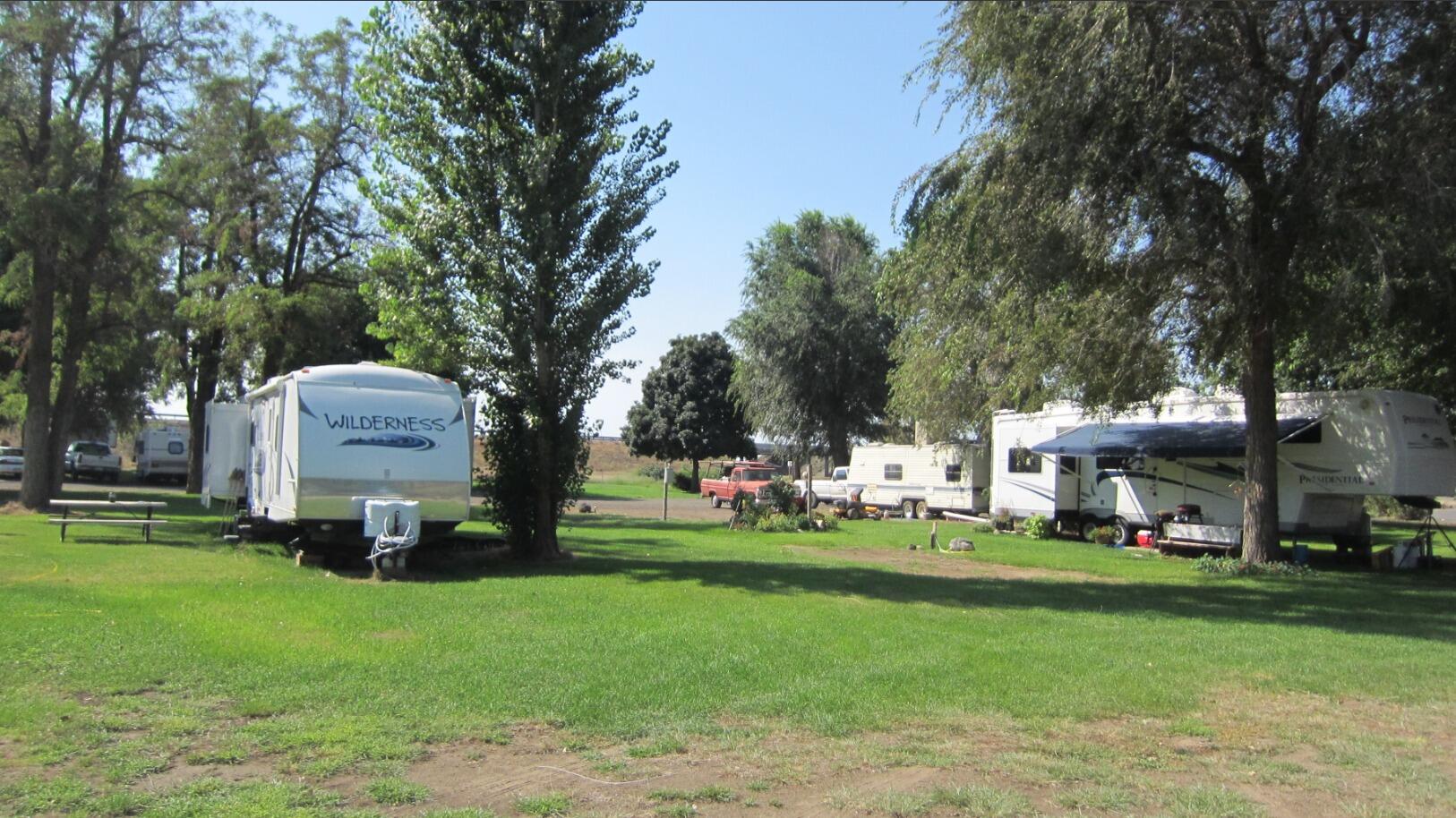 Picture of Shady Tree RV