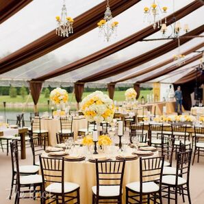 Yellow and Brown Decor