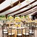 Yellow and Brown Decor
