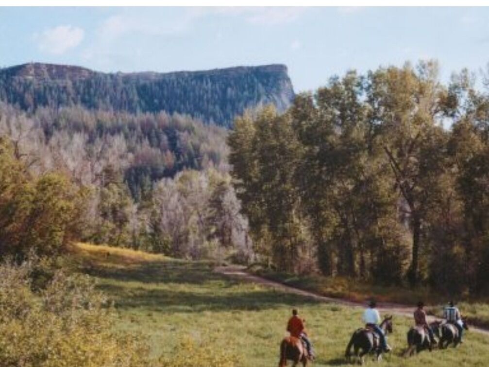 Picture of Horseback Riding