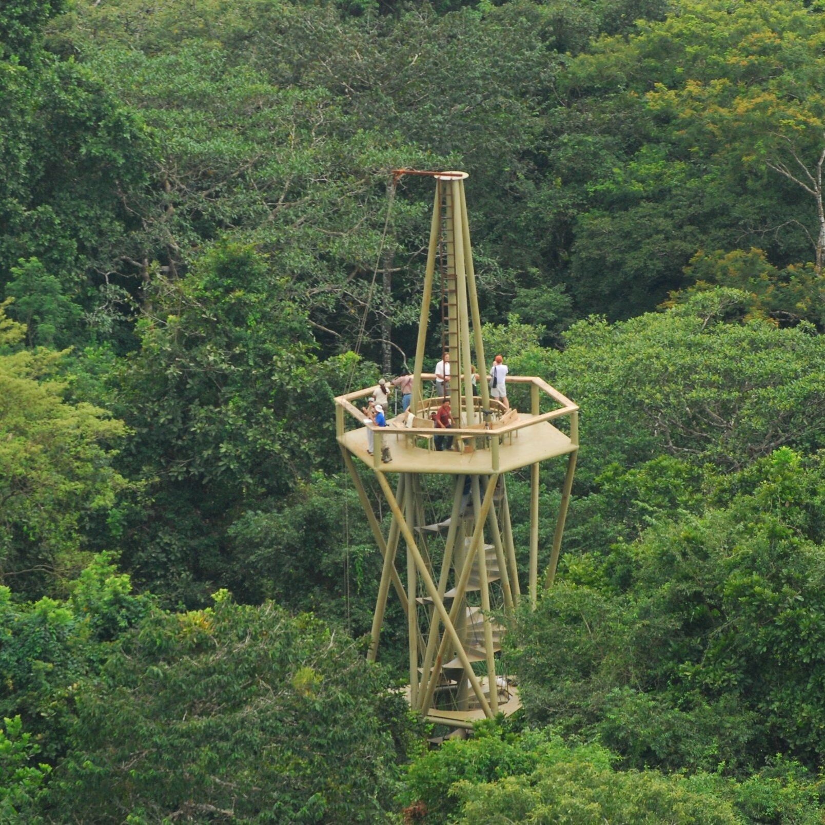 Picture of Panama Rainforest Discovery Center