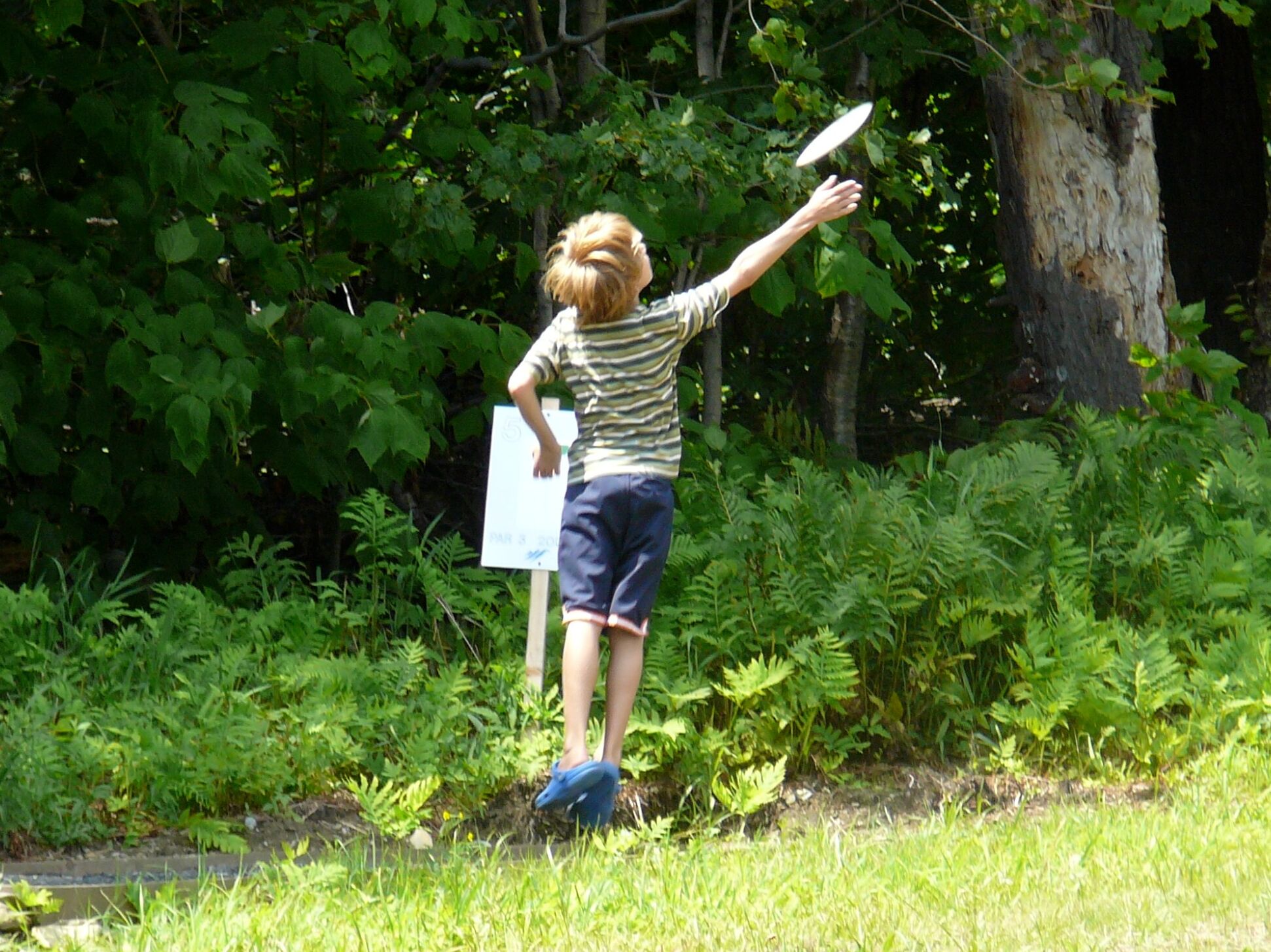 Picture of Disc Golf (Sugarbush)