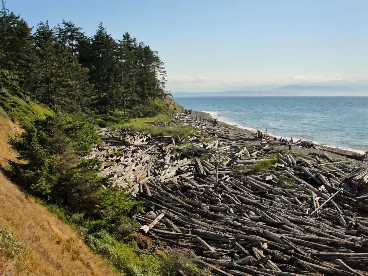 Picture of Fort Ebey State Park