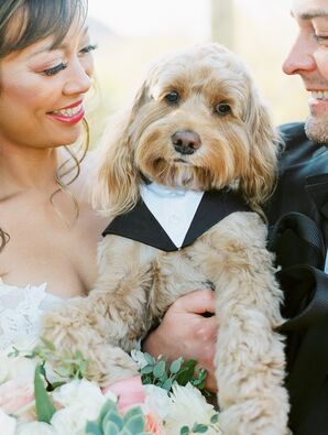 Couple Posing With Dog in Suit in Scottsdale, Arizona