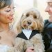 Couple Posing With Dog in Suit in Scottsdale, Arizona