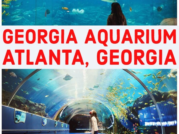 Picture of Georgia Aquarium
