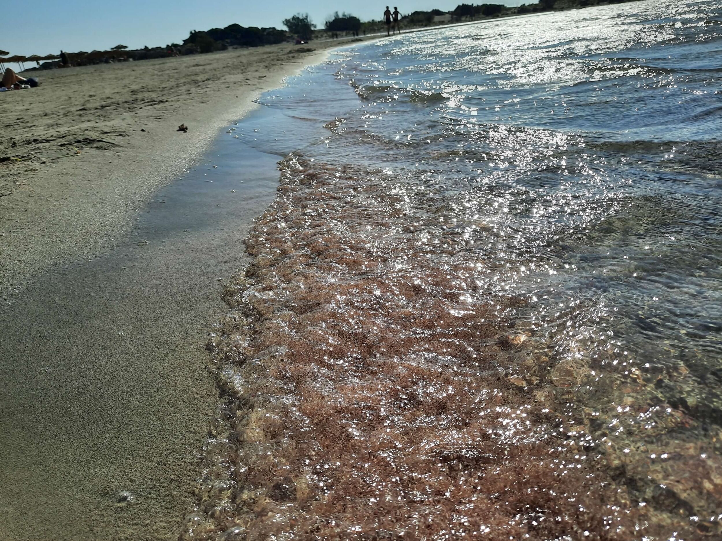 Picture of Elafonisi Beach