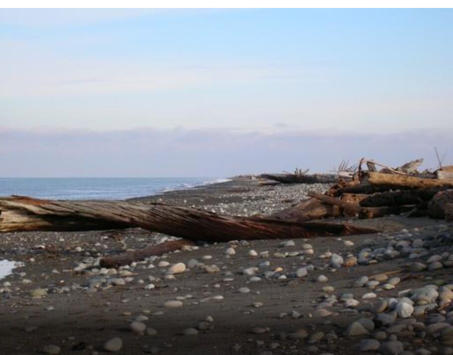 Picture of Dungeness Spit