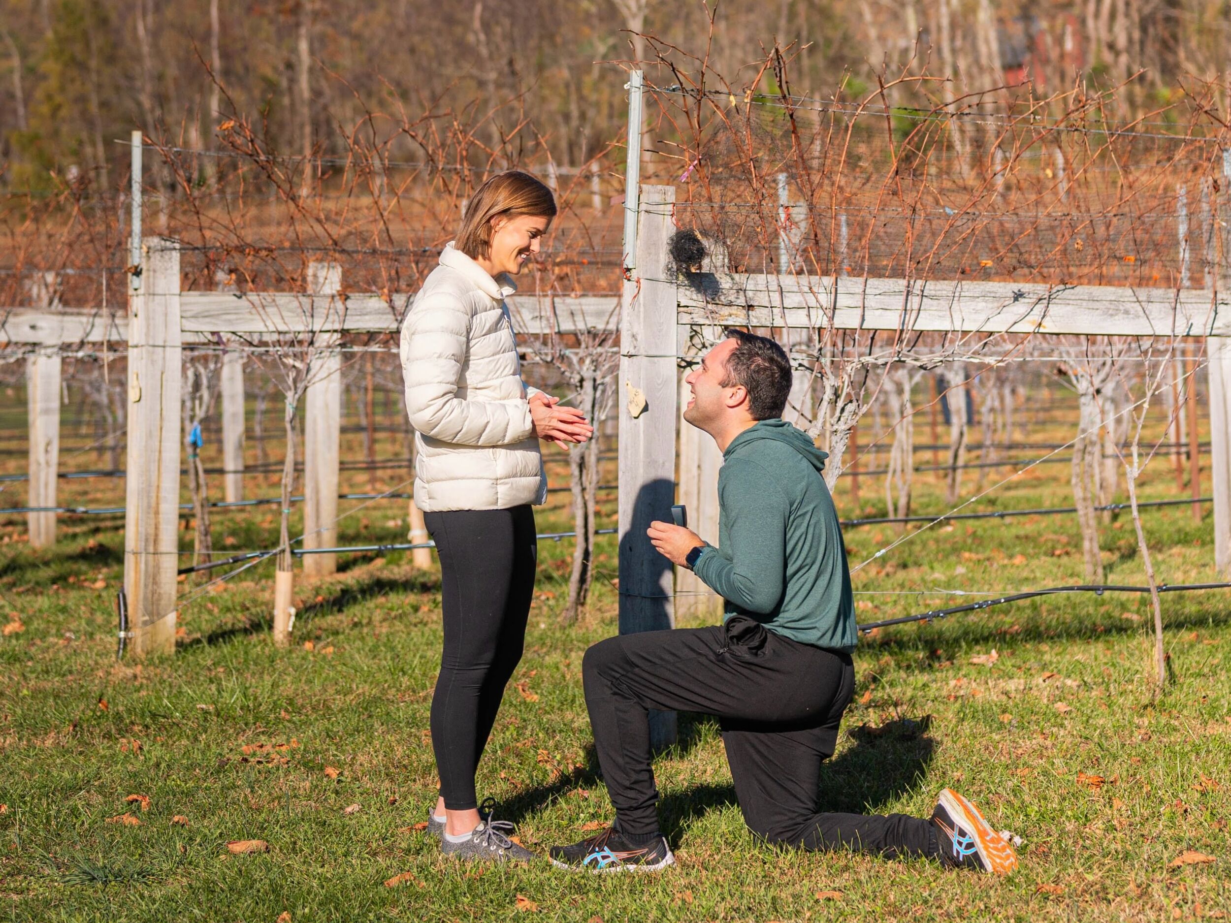 Picture of THE PROPOSAL