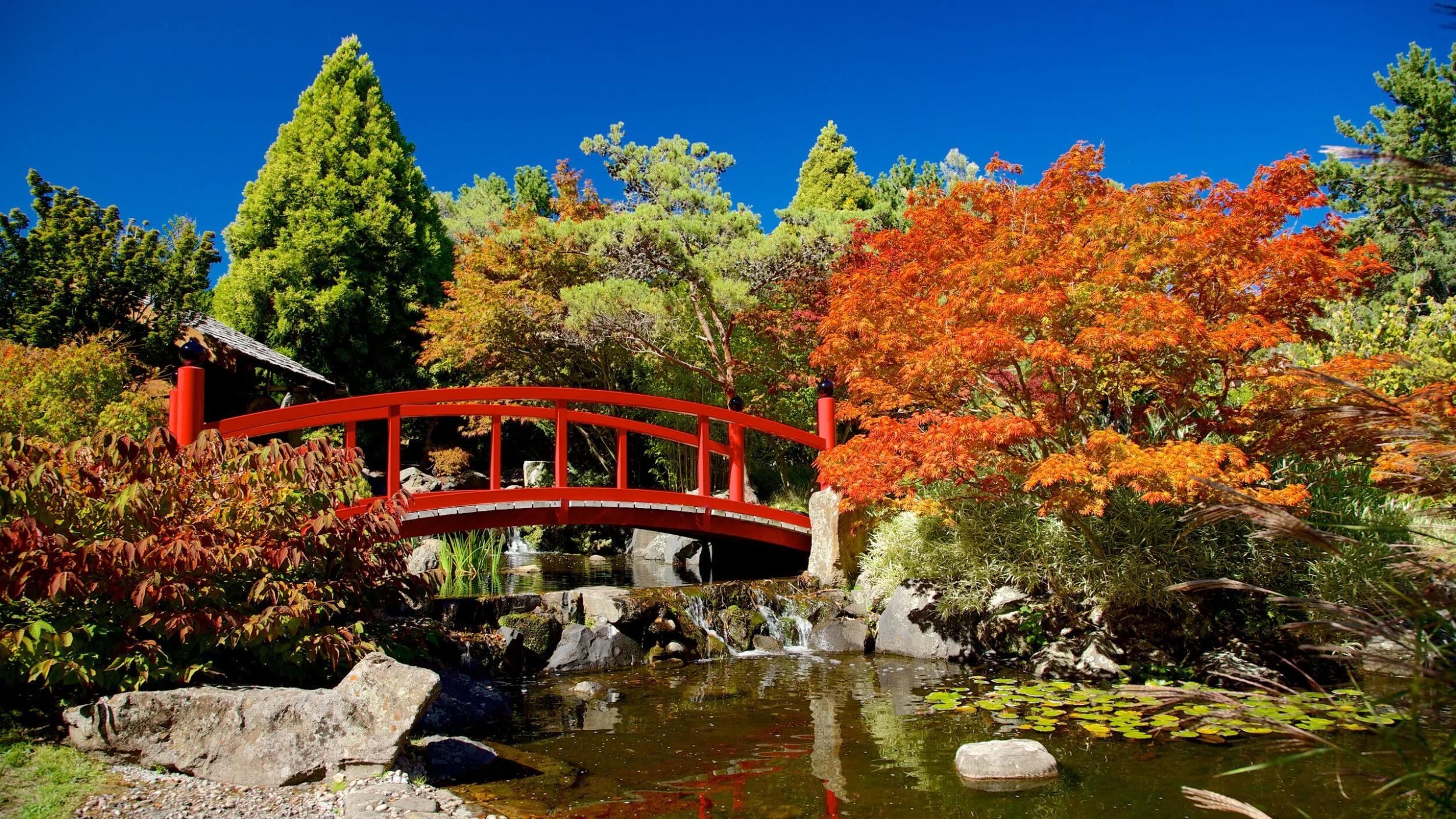 Picture of Royal Tasmanian Botanical Gardens
