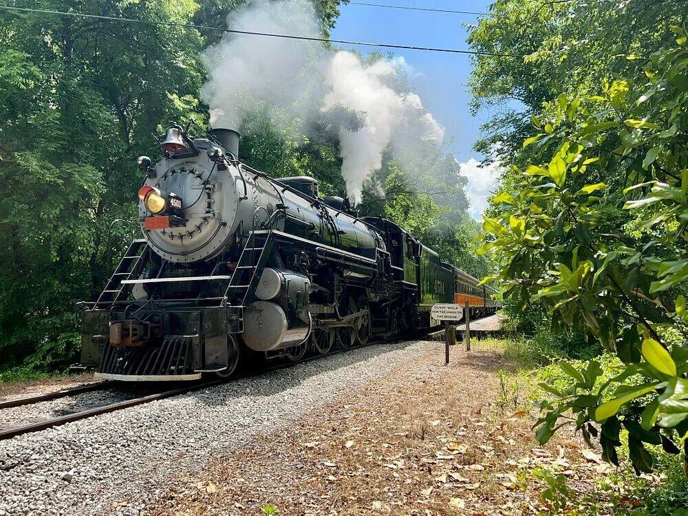 Picture of Tennessee Valley Railroad Museum 