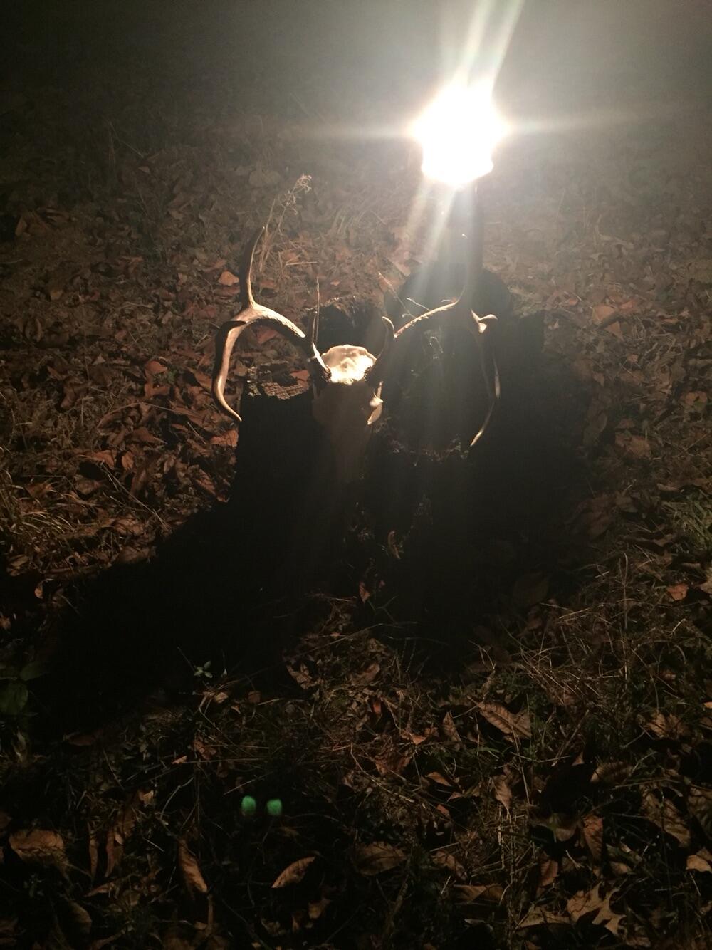 Album Photo 18