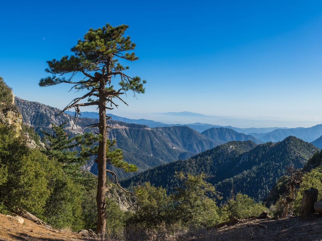 Picture of Angeles Crest Highway