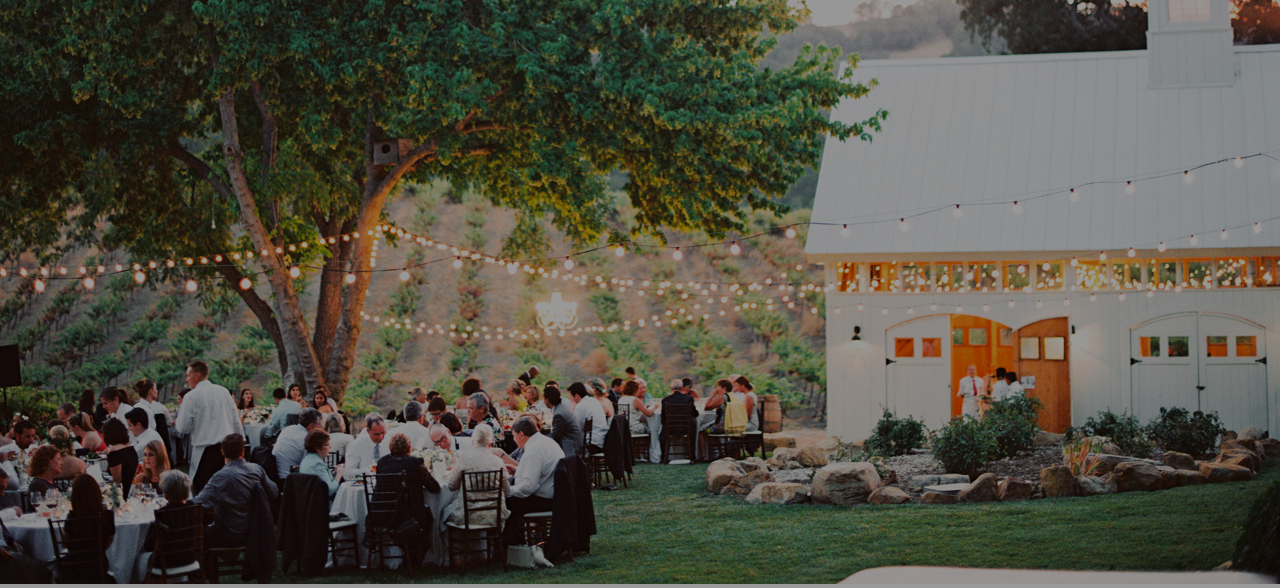 Everyone Is Celebrated at The Knot