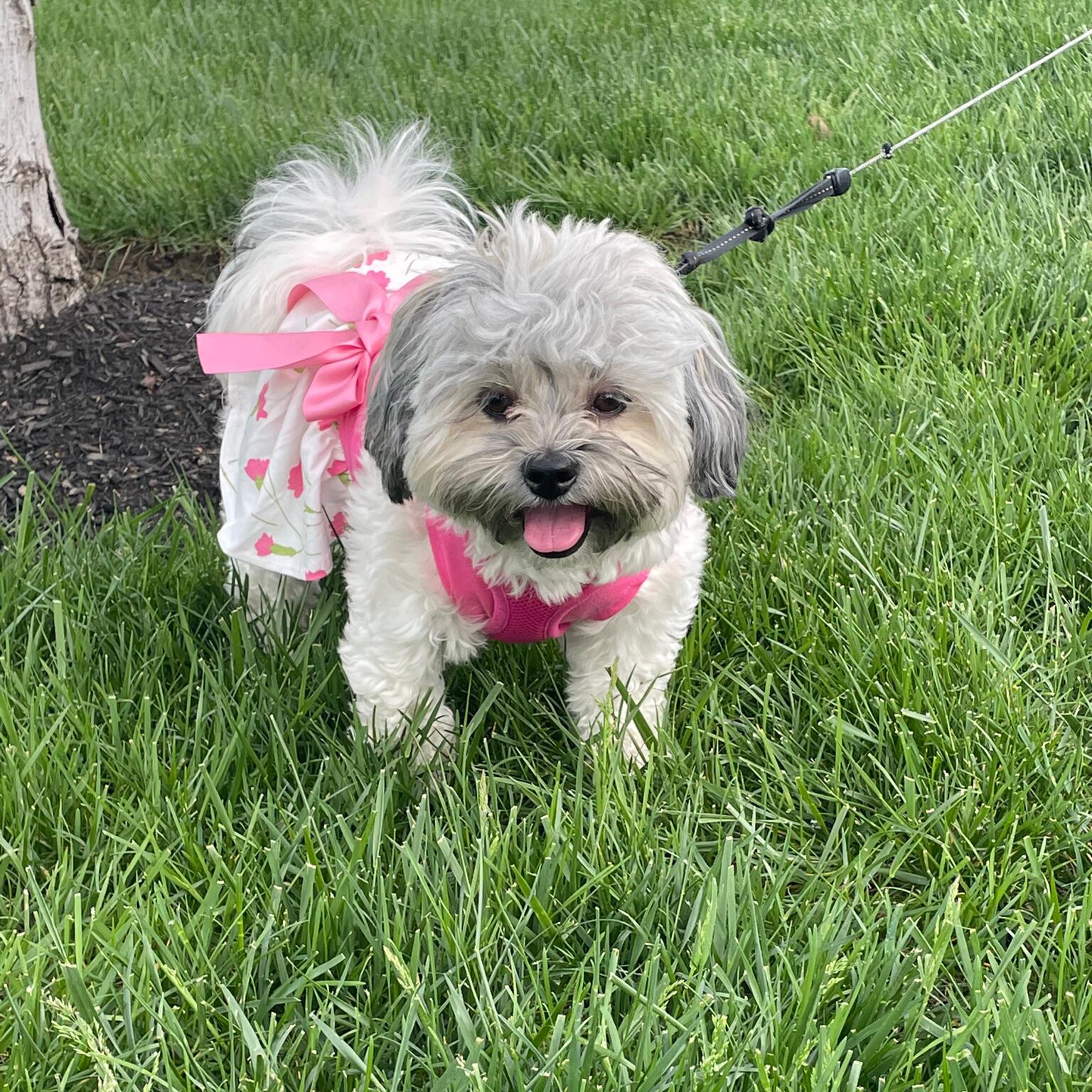 Mia 