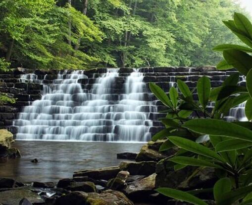 Picture of Laurel Hill State Park