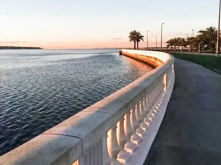 Picture of Bayshore Boulevard
