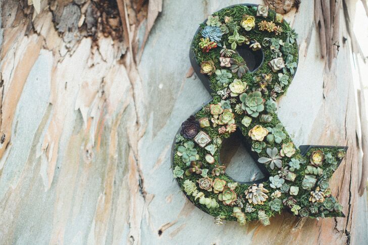 Succulent and Grass Covered Sign