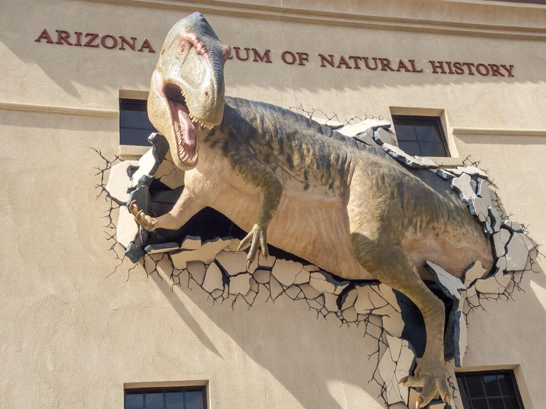 Picture of Arizona Museum of Natural History