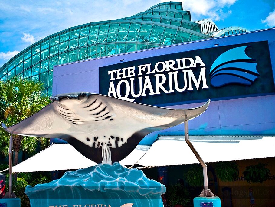 Picture of The Florida Aquarium