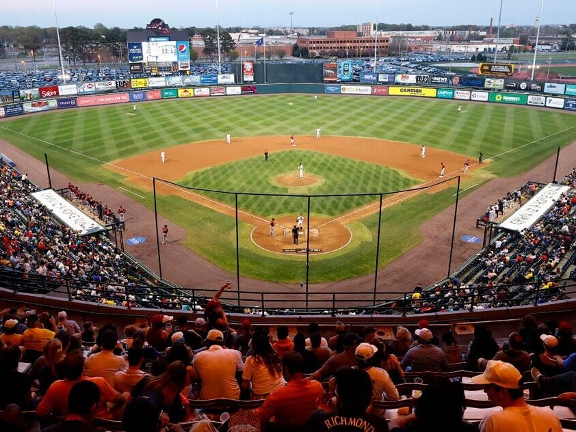 Picture of Richmond Flying Squirrels