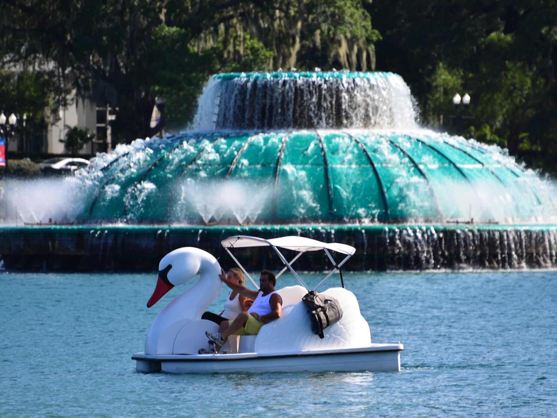 Picture of Lake Eola Park Swan Boat Rentals