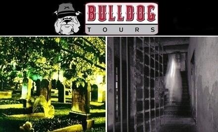 Picture of Bulldog Tours