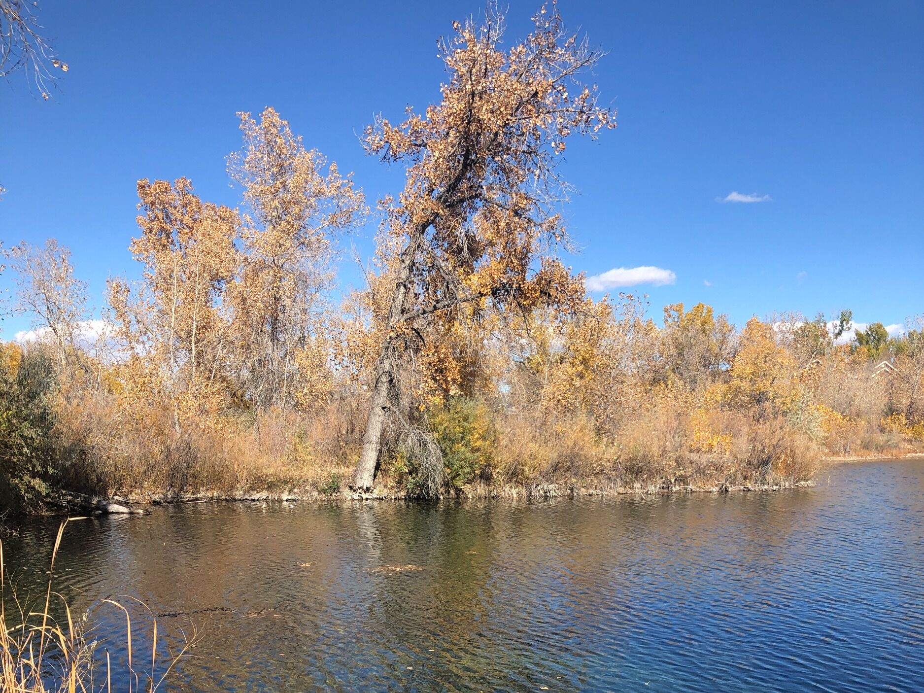 Picture of Area Hiking