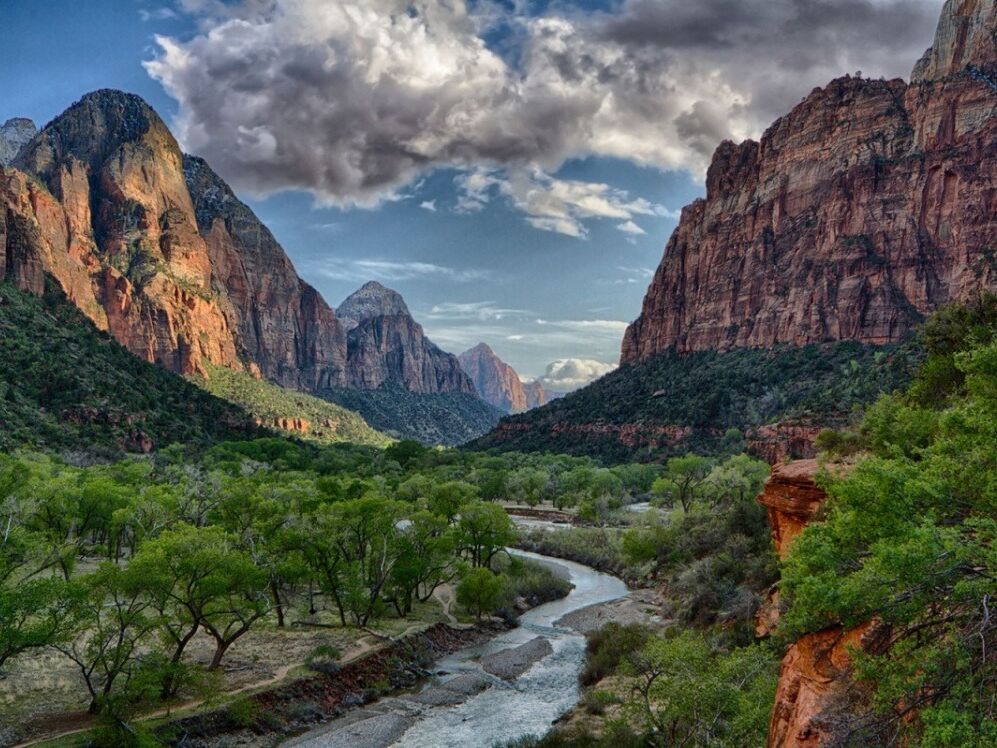 Picture of Zion National Park