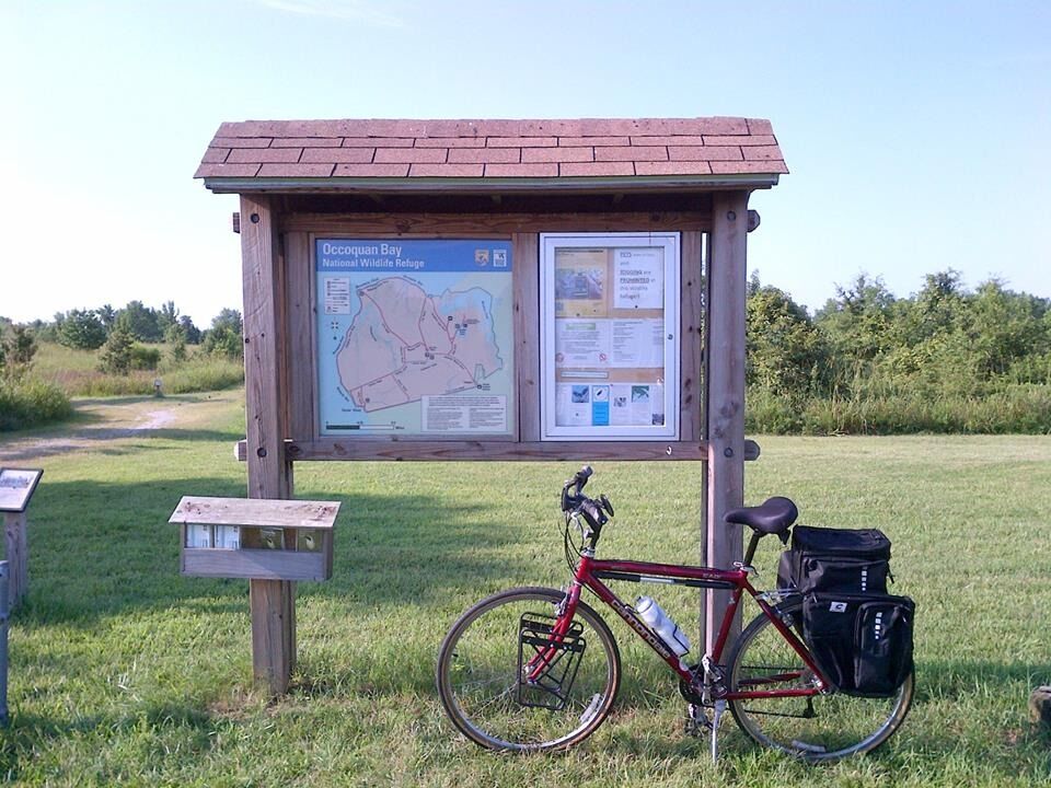 Picture of Occoquan Bay National Wildlife Refuge
