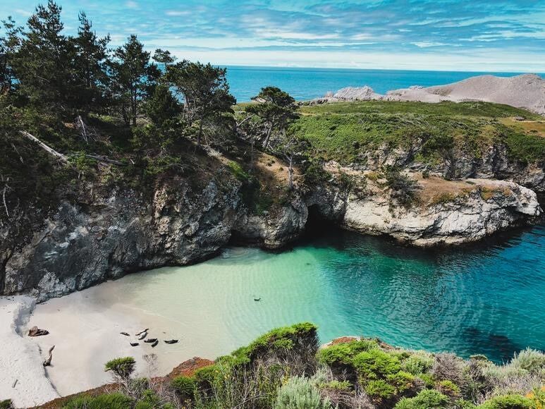Picture of Point Lobos State Natural Reserve
