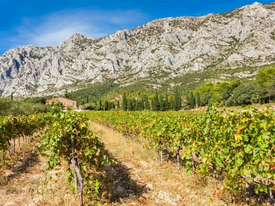 Picture of La Route des Vins