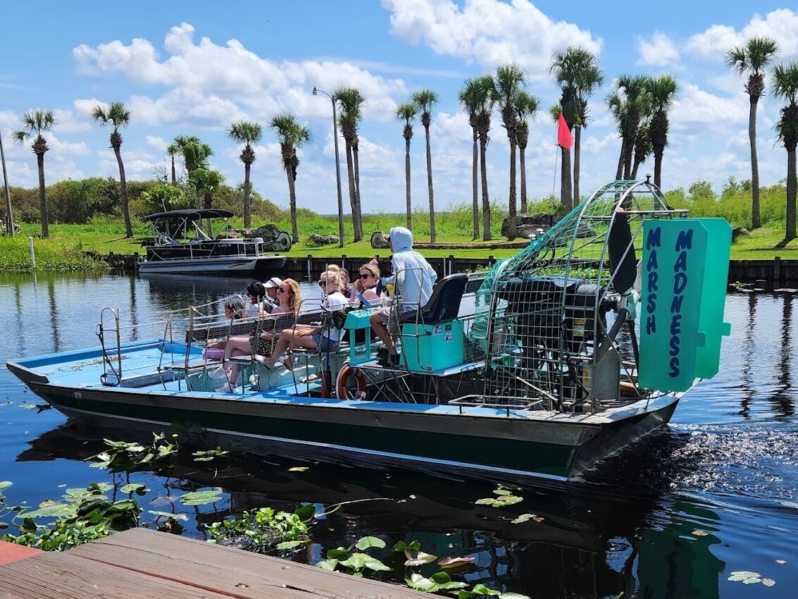 Picture of Gator Airboat Rides