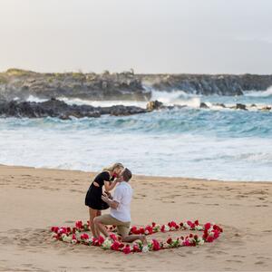 Gallery Photo 39