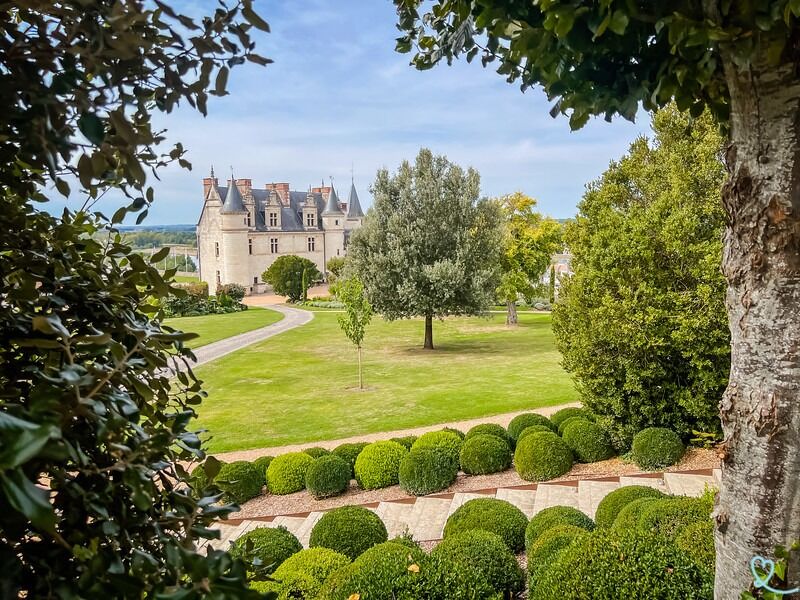 Picture of Château Royal d'Amboise