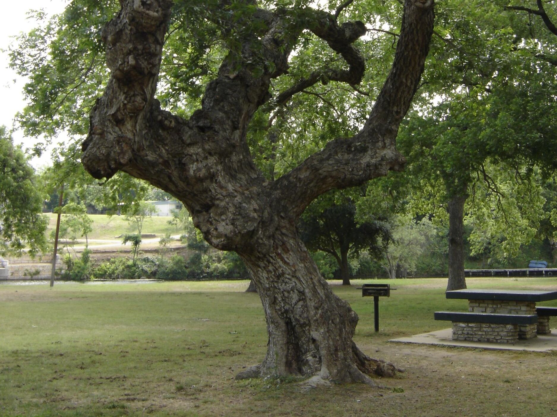 Picture of Johnson Park
