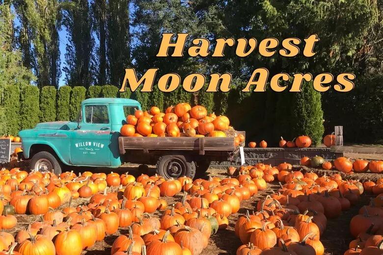 Picture of Harvest Moon Acres