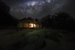Picture of Alure Stanthorpe