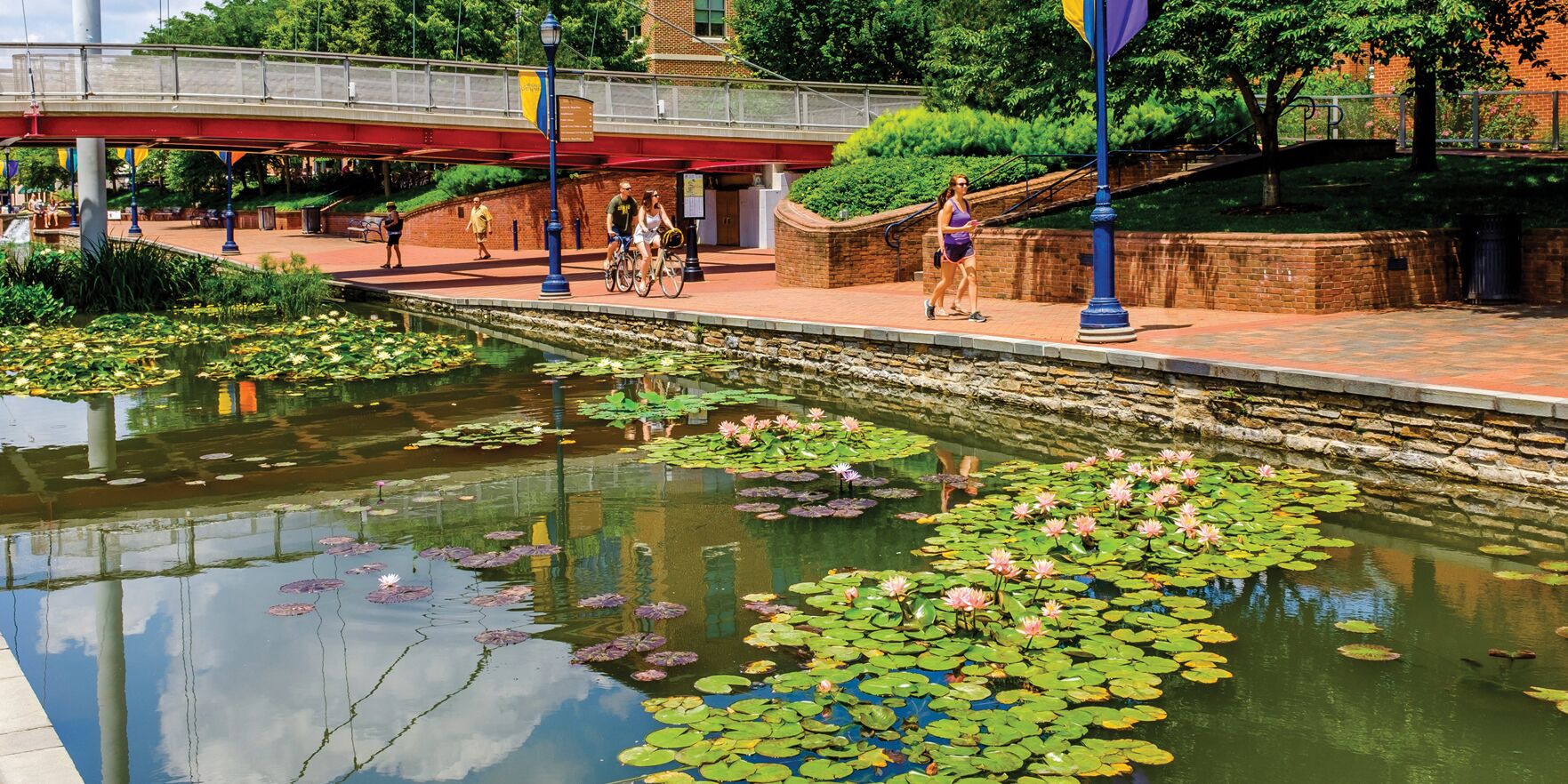 Picture of Carrol Creek Park