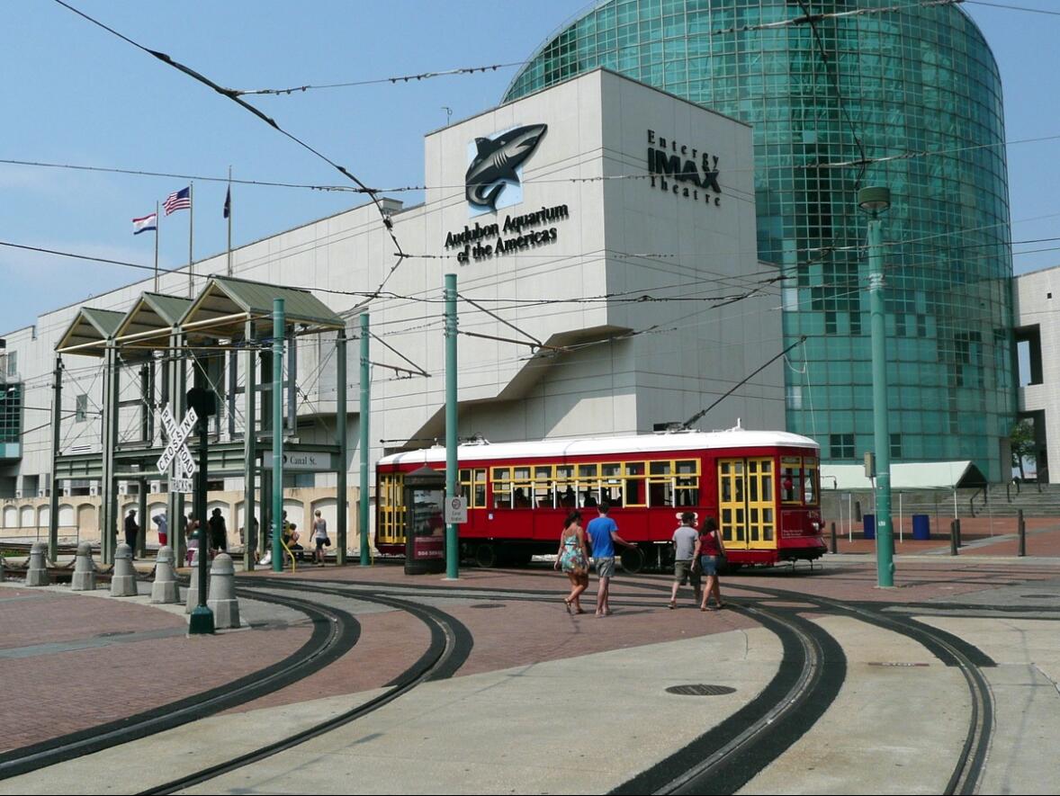 Picture of Audubon Aquarium And Insectarium