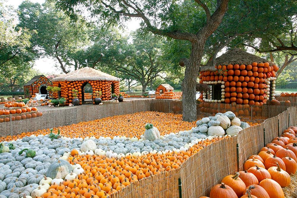 Picture of The Dallas Arboretum and Botanical Garden