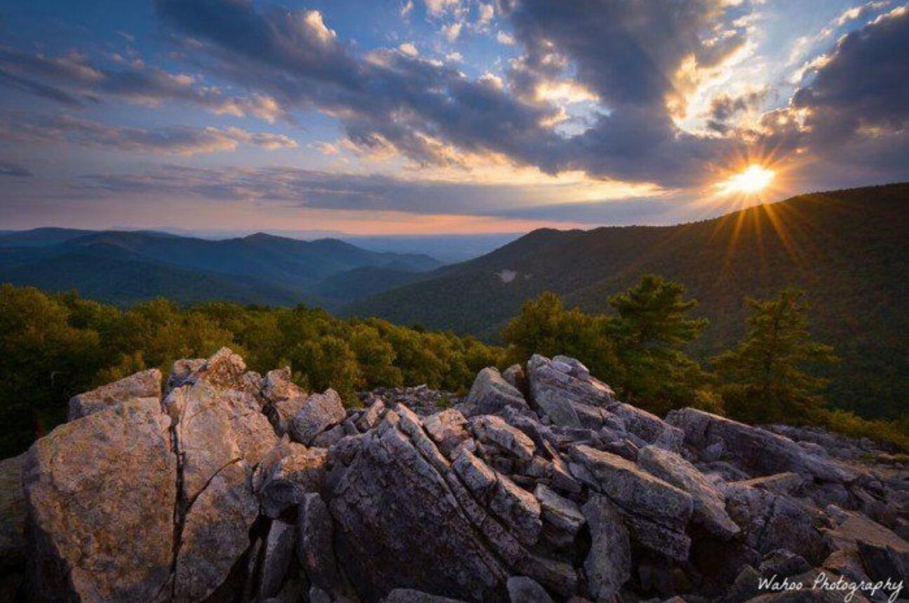 Picture of Shenandoah National Park