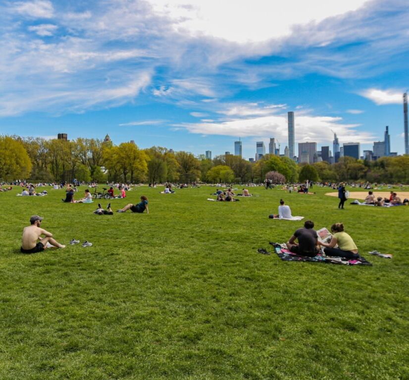 Picture of Central Park