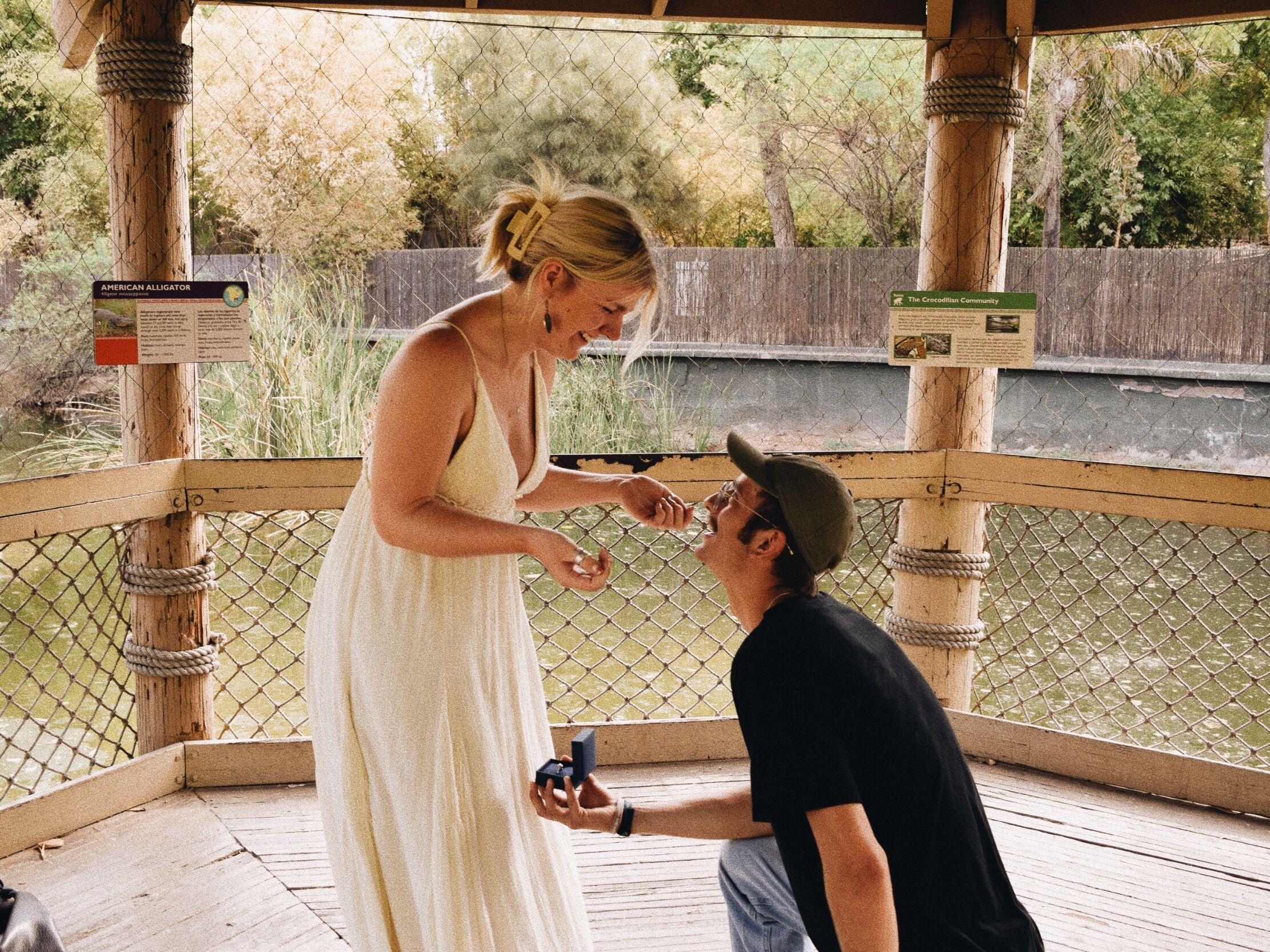 Picture of The Proposal