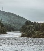 Picture of Tay Salmon Fishing Co Ltd