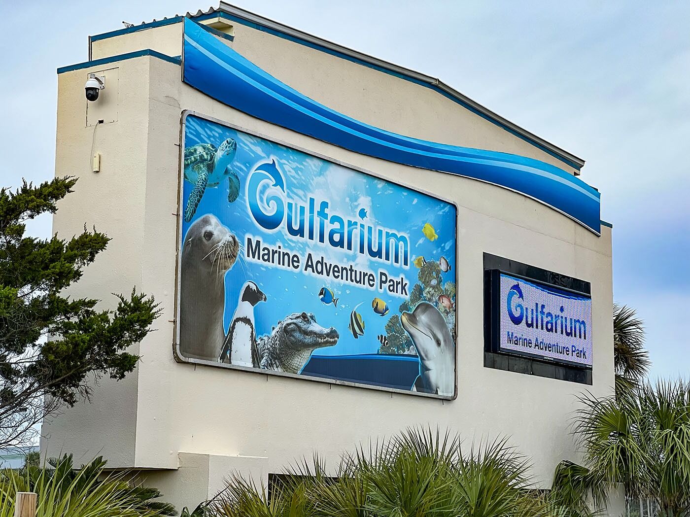 Picture of Gulfarium Marine Adventure Park